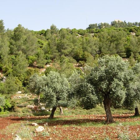 Ajloun Hotel Экстерьер фото