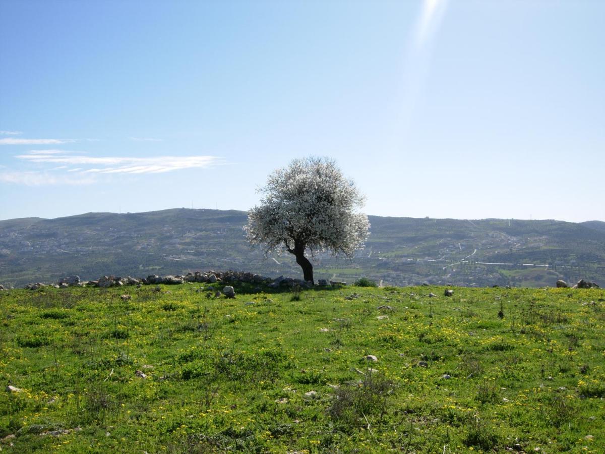 Ajloun Hotel Экстерьер фото